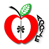 Apple Montessori Schools